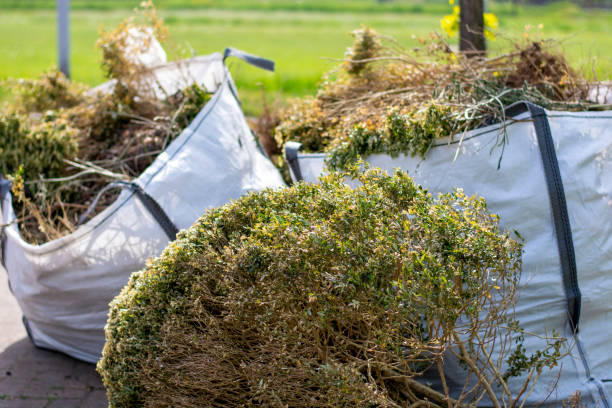 Debris Removal in Mountain City, TN